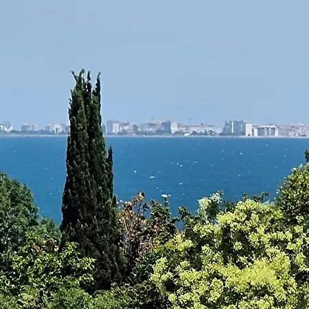 High Mezonet In The Center Burgas